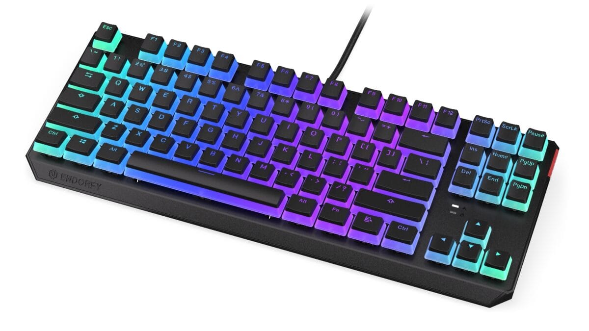 Endorfy THOCK TKL Pudding - Mechanical Wired Gaming Keyboard - Image 6