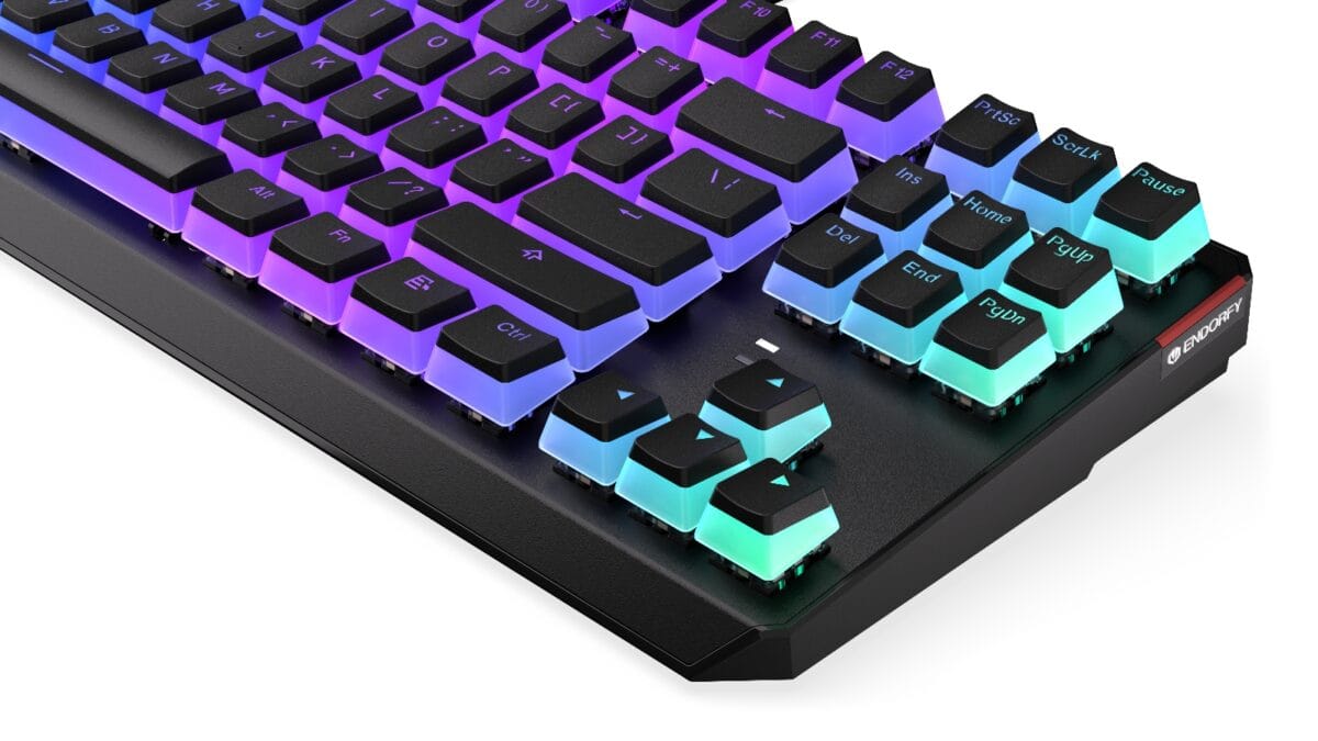 Endorfy THOCK TKL Pudding - Mechanical Wired Gaming Keyboard - Image 9