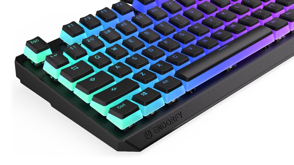 Endorfy THOCK TKL Pudding - Mechanical Wired Gaming Keyboard - Image 2