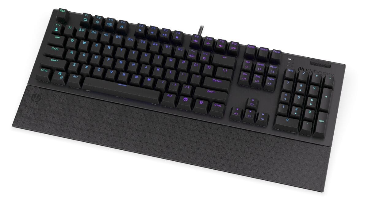 Endorfy OMNIS Wired Mechanical Gaming Keyboard - Image 13
