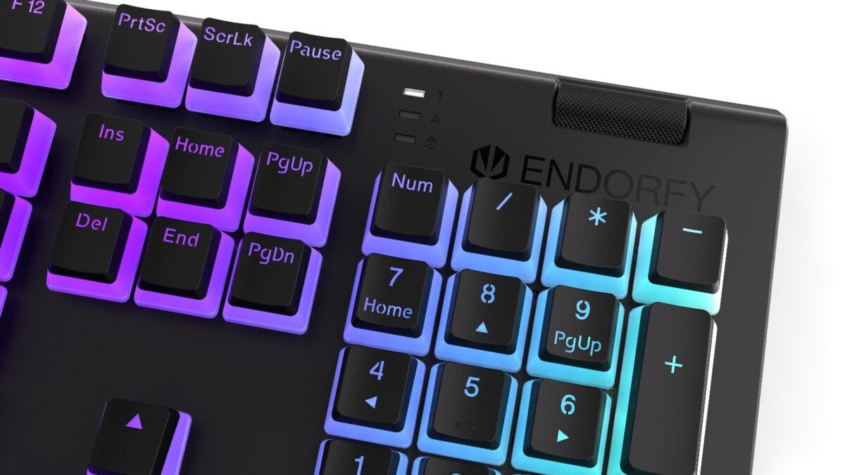Endorfy OMNIS Pudding Mechanical Wired Gaming Keyboard - Image 3